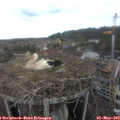 10_45-nest.jpg