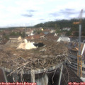 10_55-nest.jpg