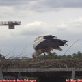 11_30-mast.jpg