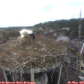 11_30-nest.jpg