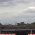 11_35-mast.jpg