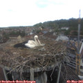 11_35-nest.jpg