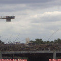 11_40-mast.jpg