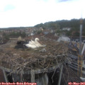 11_40-nest.jpg