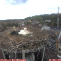 11_45-nest.jpg