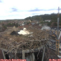 11_55-nest.jpg