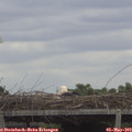 12_00-mast.jpg