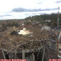 12_00-nest.jpg