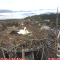 12_05-nest.jpg