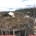 12_15-nest.jpg