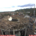 12_50-nest.jpg