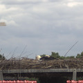 13_00-mast.jpg