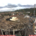 13_00-nest.jpg