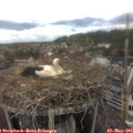 13_05-nest.jpg