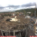 13_10-nest.jpg