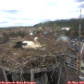 13_40-nest.jpg