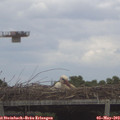 14_00-mast.jpg