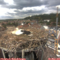 14_10-nest.jpg