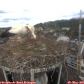 14_20-nest.jpg