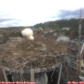 14_25-nest.jpg