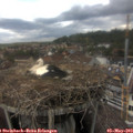 14_45-nest.jpg