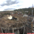 14_55-nest.jpg