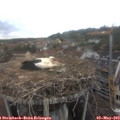 15_40-nest.jpg