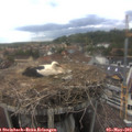 16_05-nest.jpg