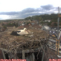 16_10-nest.jpg