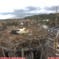 16_15-nest.jpg