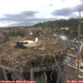 16_20-nest.jpg