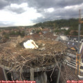16_55-nest.jpg
