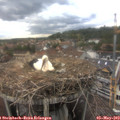 17_05-nest.jpg