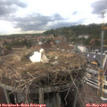 17_10-nest.jpg