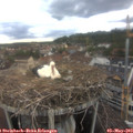 17_20-nest.jpg