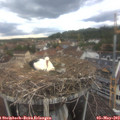 17_25-nest.jpg