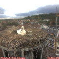 17_55-nest.jpg