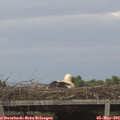 18_05-mast.jpg