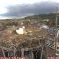 18_10-nest.jpg
