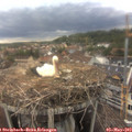 18_15-nest.jpg