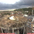 18_30-nest.jpg