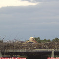 18_35-mast.jpg
