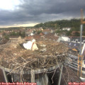 18_35-nest.jpg