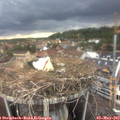 18_40-nest.jpg