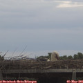 18_55-mast.jpg