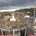 18_55-nest.jpg
