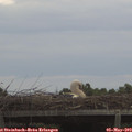 19_05-mast.jpg