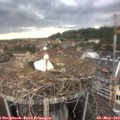 19_15-nest.jpg