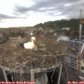 19_25-nest.jpg