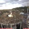 19_30-nest.jpg
